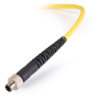 Intellical CDC401 4-polige Graphit-Leitfähigkeitssonde für den Außeneinsatz, 10 m Kabel