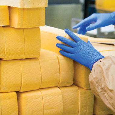 Un travailleur empile des blocs de fromage dans une usine laitière. Dans l'industrie laitière, les analyseurs de COT permettent de surveiller les déchets organiques de l'eau traitée et de réduire les pertes de matière.
